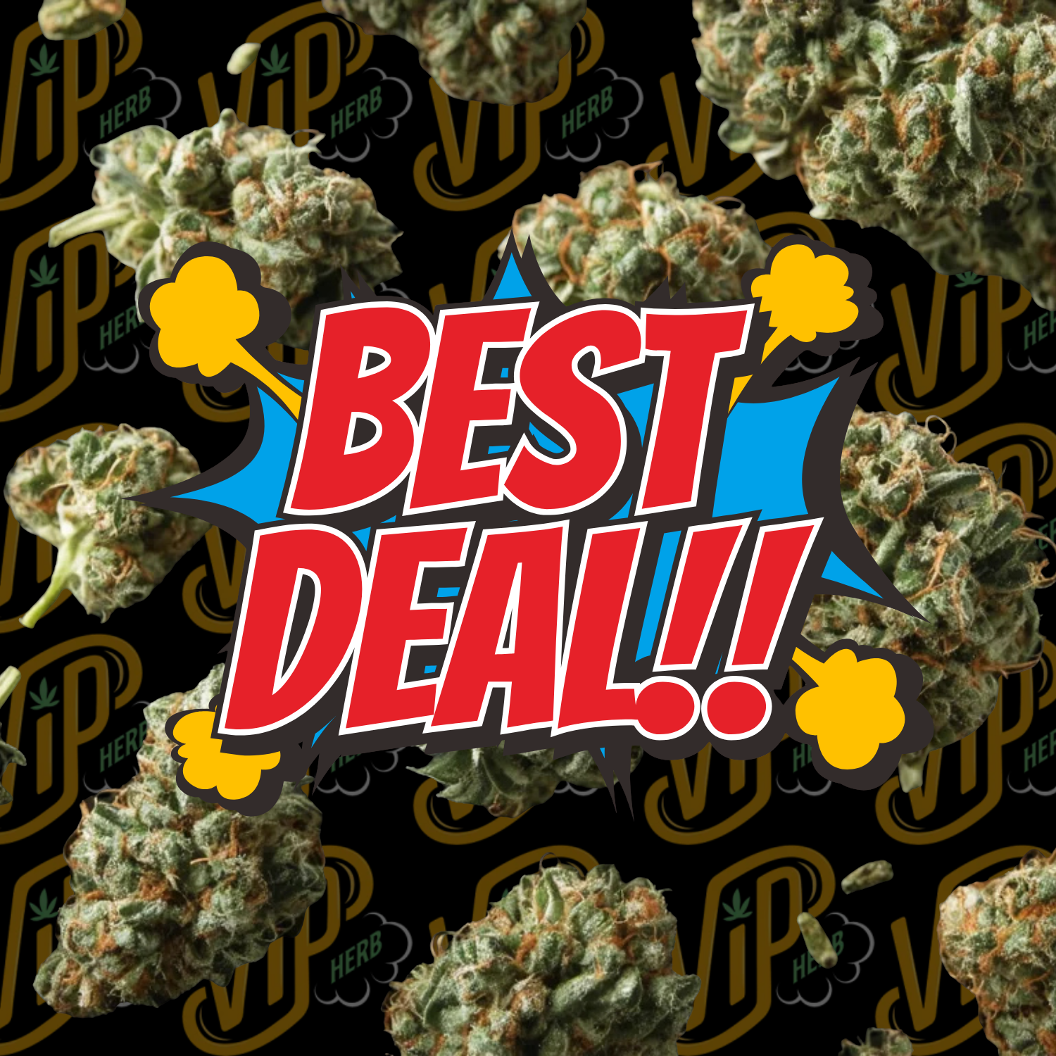 Everyday OZ Specials